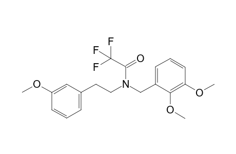 N-(2,3-dimethoxybenzyl)-2,2,2-trifluoro-N-(3-methoxyphenethyl)acetamide