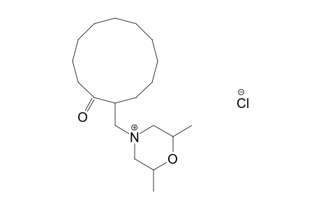 2-[(2,6-dimethylmorpholino)methyl]cyclododecanone, hydrochloride