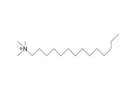Tetradecyl-trimethyl-ammonium cation