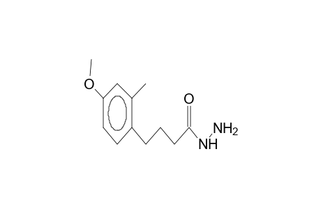 4-(4-methoxy-2-methylphenyl)butanohydrazide