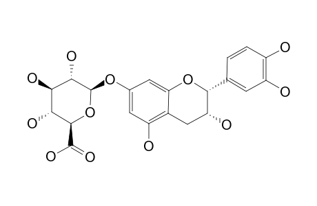 EPICATECHIN-7-O-BETA-D-GLUCURONIDE