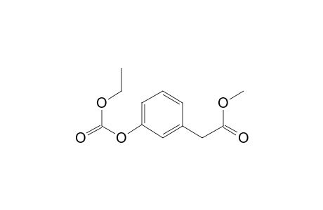 2-(3-Ethoxycarbonyloxyphenyl)acetic acid, methyl ester