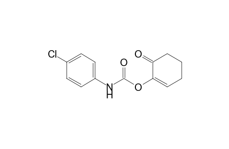(4-Chloro-phenyl)-carbamic acid 6-oxo-cyclohex-1-enyl ester