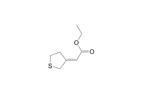 (E)-(Z)-3-(carbethoxymethylidene)tetrahydrothiophene