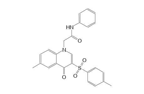 1-quinolineacetamide, 1,4-dihydro-6-methyl-3-[(4-methylphenyl)sulfonyl]-4-oxo-N-phenyl-
