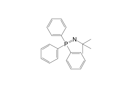 N-tert-butyl-p,p,p-triphenylphosphine imide