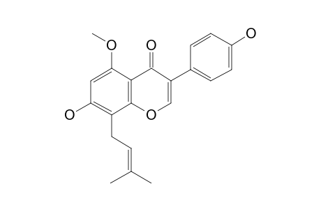 5-o-Methyllupiwighteone