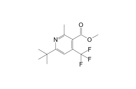 6-tert-Butyl-3-(methoxycarbonyl)-2-methyl-4-(trifluoromethyl)pyridine