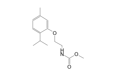 methyl 2-(2-isopropyl-5-methylphenoxy)ethylcarbamate