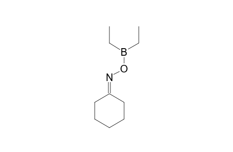 Cyclohexanone, O-(diethylboryl)oxime