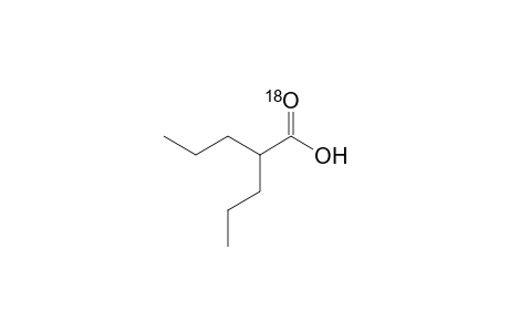 [18O]-2-propylpentanoic acid