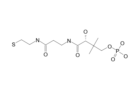 PHOSPHOPANTETHEINE