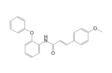 (2E)-3-(4-methoxyphenyl)-N-(2-phenoxyphenyl)-2-propenamide