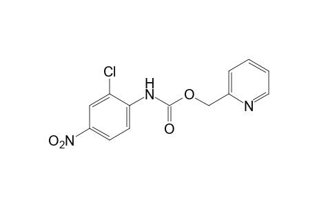 2-chloro-4-nitrocarbanilic acid, (2-pyridyl)methyl ester