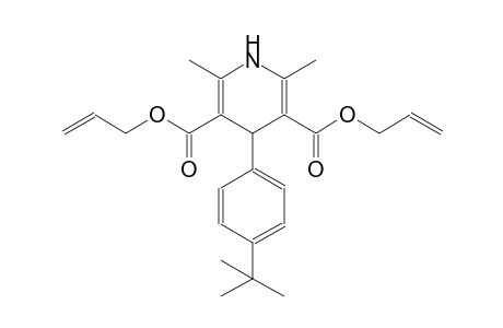 diallyl 4-(4-tert-butylphenyl)-2,6-dimethyl-1,4-dihydro-3,5-pyridinedicarboxylate