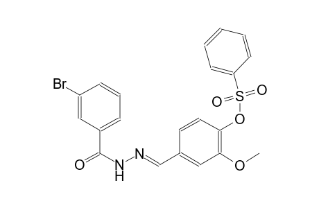 4-{(E)-[(3-bromobenzoyl)hydrazono]methyl}-2-methoxyphenyl benzenesulfonate