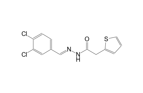 2-thiopheneacetic acid, 2-[(E)-(3,4-dichlorophenyl)methylidene]hydrazide