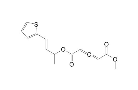 2,3-Pentadienedioic acid, methyl 1-methyl-3-(2-thienyl)-2-propenyl ester