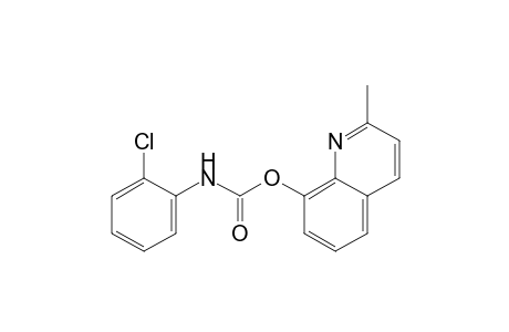 2-methyl-8-quinolinol, o-chlorocarbanilate (ester)