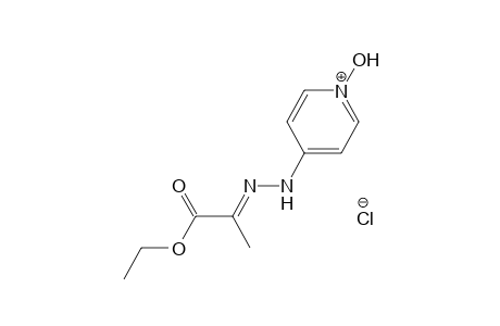 4-[(1-CARBOXYETHYLIDENE)HYDRAZINO]-1-HYDROXYPYRIDINIUM CHLORIDE, ETHYL ESTER
