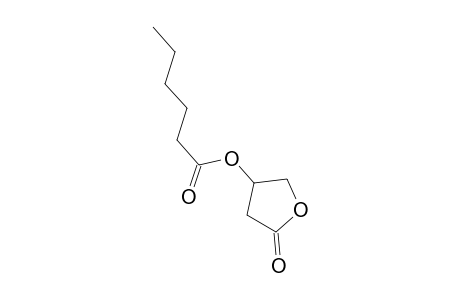 Hexanoylcarnitine oxylactone