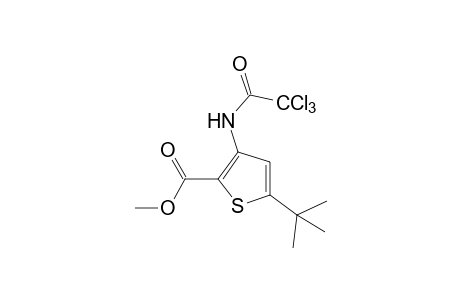 5-tert-butyl-3-(2,2,2-trichloroacetamido)-2-thiophenecarboxylic acid, methyl ester