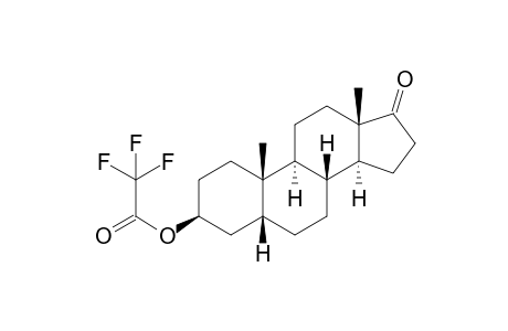 3beta-Etiocholanolone TFA