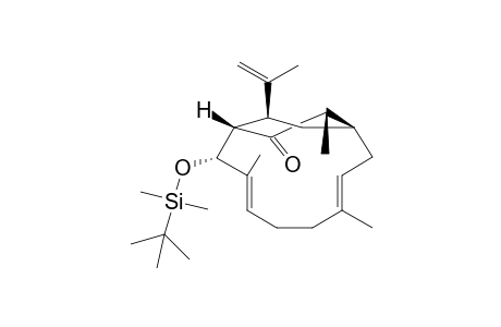 (1S,3E,7E,9R,10S,12S,14S)-9-((tert-Butyldimethylsilyl)oxy)-4,8,12-trimethyl-14-(prop-1-en-2-yl)bicyclo[8.2.2]tetradeca-3,7-dien-11-one