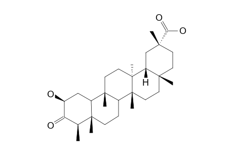 WILFORIC-ACID-F;2-BETA-HYDROXY-3-OXO-FRIEDELAN-29-OIC-ACID