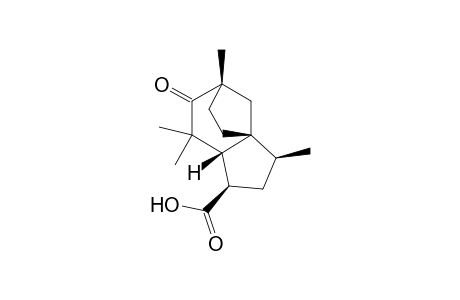 (1R*,2S*,4R*,5S*,8S*)-2,6,6,8-Tetramethyl-7-oxotricyclo[6.2.1.0(1,5)]undecane-4-carboxylic acid