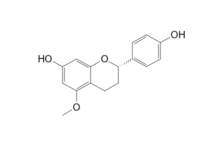 3,4-Dihydro-2-(p-hydroxyphenyl)-5-methoxy-2H-benzopyran-7-ol