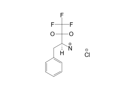 (S)-3-AMINO-2,2-DIHYDROXY-4-PHENYL-1,1,1-TRIFLUOROBUTANE-HYDROCHLORIDE-SALT