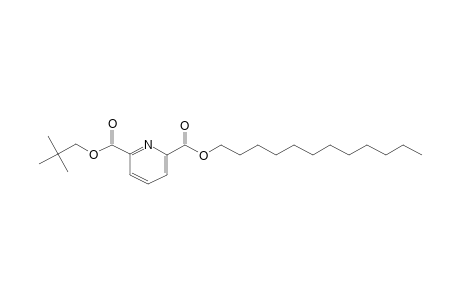 2,6-Pyridinedicarboxylic acid, dodecyl neopentyl ester