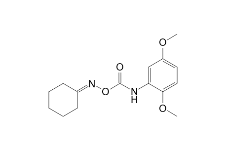 cyclohexanone, O-[(2,5-dimethoxyphenyl)carbamoyl]oxime