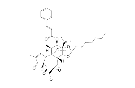 HIRSEIN_A;5-BETA-HYDROXYRESINIFERONOL-6-ALPHA,7-ALPHA-EPOXY-12-BETA-CINNAMOYLOXY-9,13,14-ORTHO-2-E-OCTANOATE