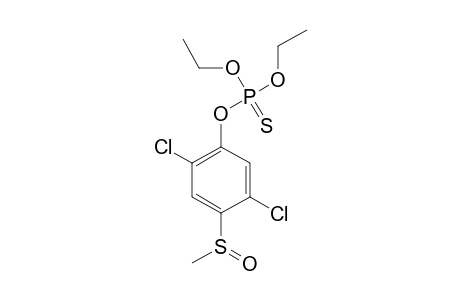 O-[2,5-dichloro-4-(methylsulfinyl)phenyl] O,O-diethyl thiophosphate