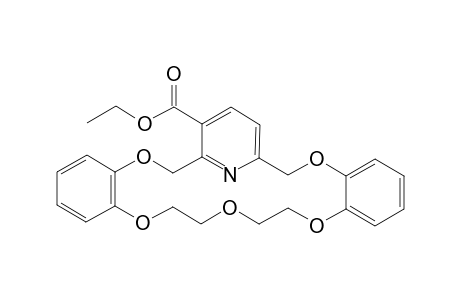 12H-7,11-Nitrilo-6H-dibenzo[b,k][1,4,7,10,13]pentaoxacycloeicosin-8-c arboxylic acid, 19,20,22,23-tetrahydro-, ethyl ester