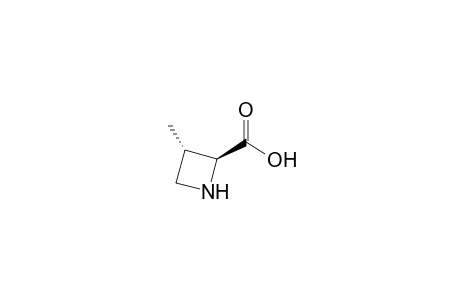 (2S,3S)-3-Methylazetidine-2-carboxylic acid