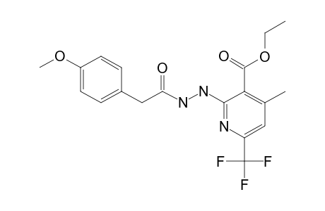 2-[N'-[2-(4-methoxyphenyl)acetyl]hydrazino]-4-methyl-6-(trifluoromethyl)nicotinic acid ethyl ester