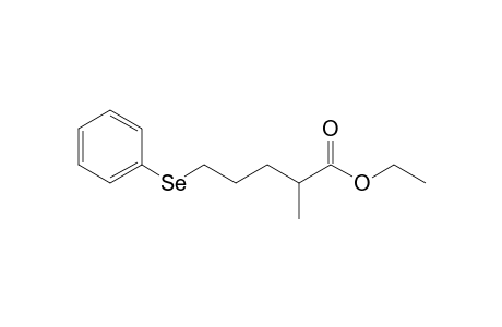 Ethyl 5-Benzeneselenyl-2-methylpentanoate