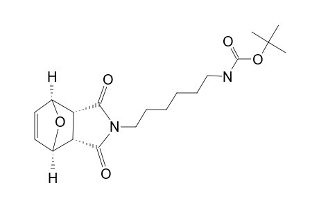 N-(TERT.-BUTYLHEXYLCARBAMATE)-7-OXABICYCLO-[2.2.1]-HEPT-5-ENE-ENDO-2,3-DICARBOXIMIDE