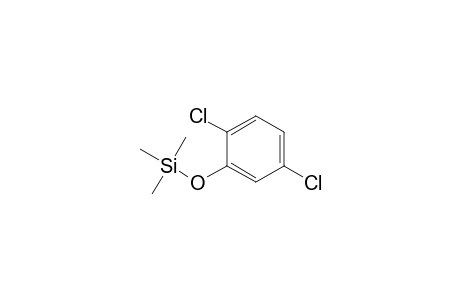 (2,5-Dichlorophenoxy)(trimethyl)silane