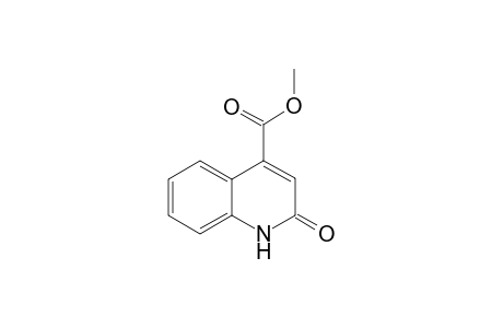 2-keto-1H-quinoline-4-carboxylic acid methyl ester