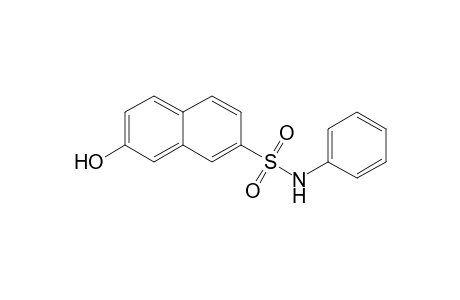 2-Naphthalenesulfonamide, 7-hydroxy-N-phenyl-