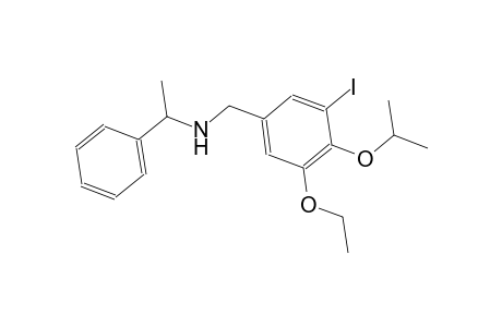 N-(3-ethoxy-5-iodo-4-isopropoxybenzyl)-1-phenylethanamine