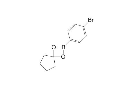 4H-Cyclopenta-1,3,2-dioxaborole, 2-(4-bromophenyl)tetrahydro-, cis-