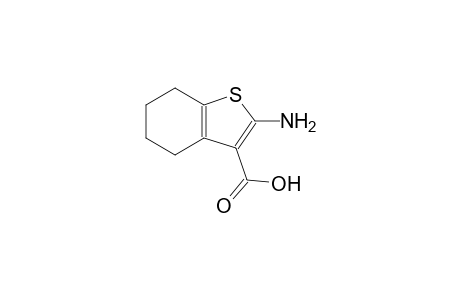 2-amino-4,5,6,7-tetrahydro-1-benzothiophene-3-carboxylic acid