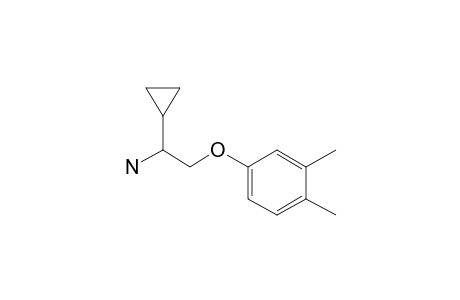 4-(2-Amino-2-cyclopropylethoxy)-1,2-dimethylbenzene