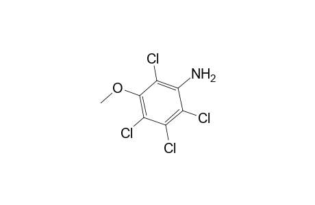 2,3,4,6-Tetrachloro-5-methoxyaniline