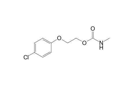 2-(p-Chlorophenoxy)ethyl methylcarbamate
